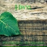 Hwyl