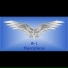 S-1 operations