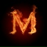 Maxym Burn