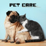 Pet Music Academy