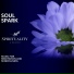 Liquid Ambiance, Serenity Calls