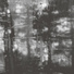 Norman Westberg