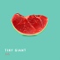 Tiny Giant