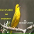 El Canario De Cojedes