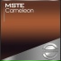 MSTE