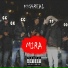 KSG4Real