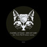Cat Black, Flashers