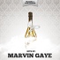 Marvin Gaye