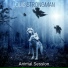 Louis Strongman