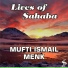 Mufti Ismail Menk