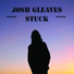Josh Gleaves