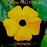 Cronak