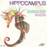 Norman Ruby Orchestra
