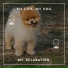 Dog Chill Out Music