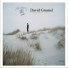 David Grumel feat. Brian Mc Partlin