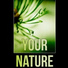 Harmony Nature Sounds Academy