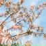 Spiritual Flower