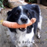 Music to Relax Dogs
