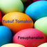 Yusuf Tomakin