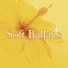 sugar6borg
