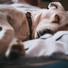 Yoga, Rainfall, The Sleep Helpers