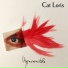 Cat Loris