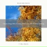Nature Songs Nature Music