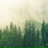 Spa Zen, Rain Man Sounds, Relaxed Minds