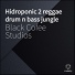 Black Lyon Studios