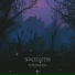 Spaceouters
