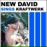 New David