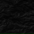 Black Reuss