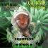 Shampane Di Top Banga