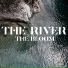 The Bloom