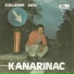 Dragoslav Mihajlovic Kanarinac