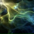 Medvedev Maxim