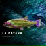 La Payara