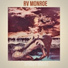 RV MONROE