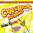 Canários Do Reino