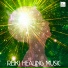 Reiki Music Academy