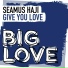 Seamus Haji