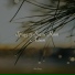 Weather Sounds, Nursery Rhymes, Sonido de lluvia