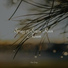 Weather Sounds, Nursery Rhymes, Sonido de lluvia