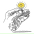 The Woodlice