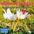 Koma Dengbeja