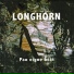 Longhorn