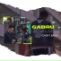 Garry Bassi