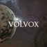 Volvox