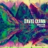 David Quinn feat. Sidekicks