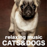 Pet Care Music Therapy